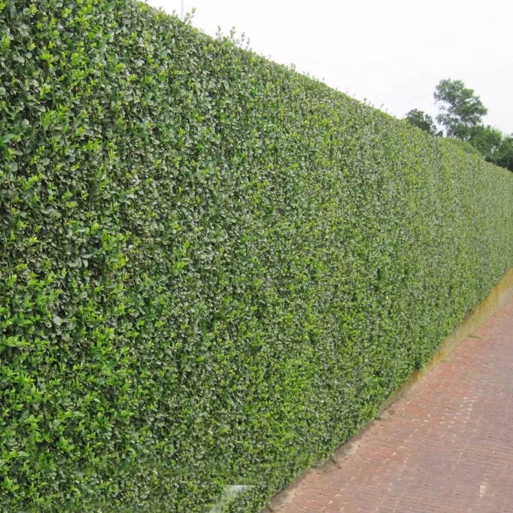 6db58938932b156f631c0aef1d339e69