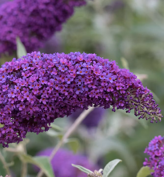 6dccc5be92d6d54c4ea8aa1efb0c8c6d