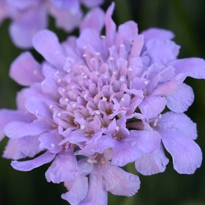 6dcd6a6a90f604598b413b279dcf3368