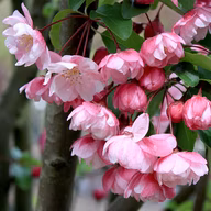 6dd9f285c4e34fad7ff2f58fabb74f39