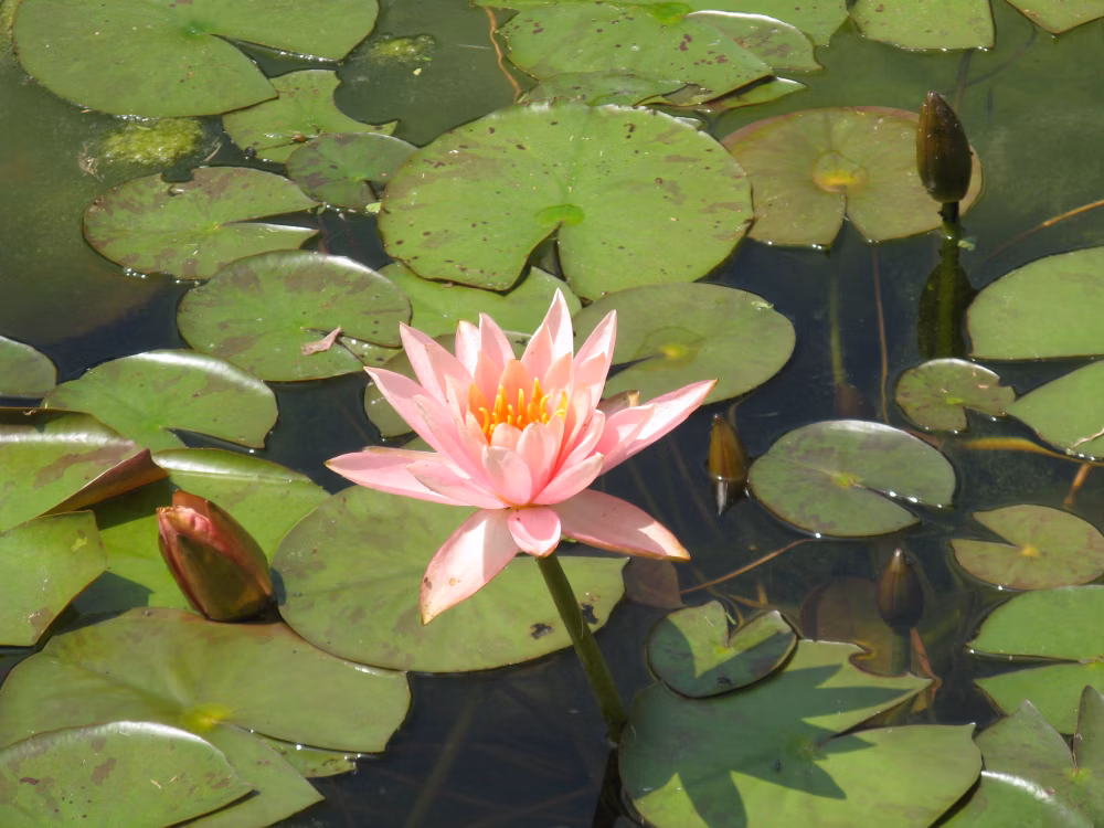 6de0d3d895ccd7c61e1d189a05a0844b