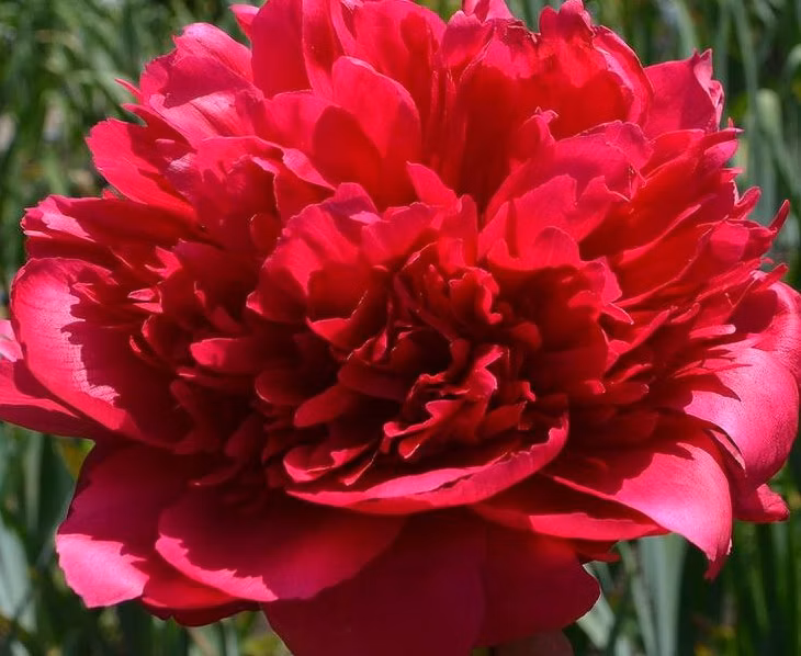 6de680dde912d10605f43b93e000953e