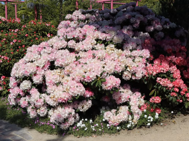 6e07cb505fdd074e1a4eeb5043abf07a