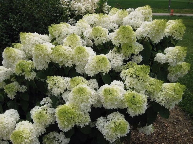 6e83847aa86a74f34a113a1048b73761