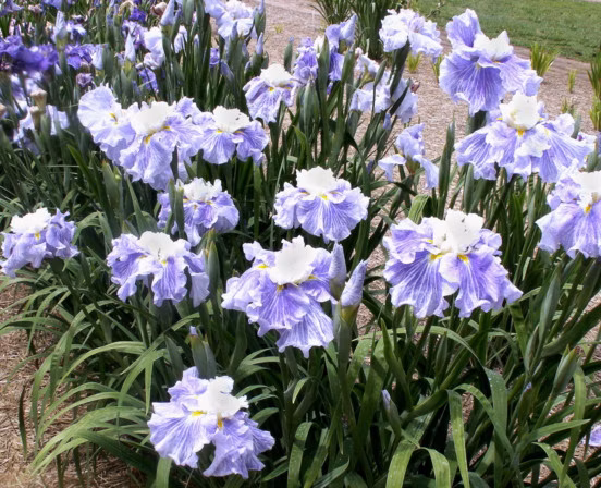 6ee5b922fde0c9285a0c51163770b5d3