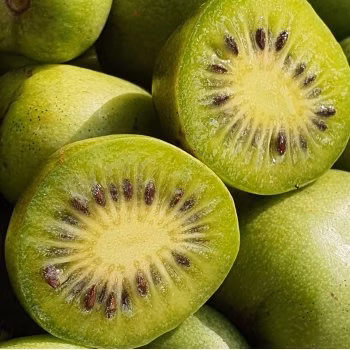 6f0428f9e788fd0b2d5b212fe15a94cf