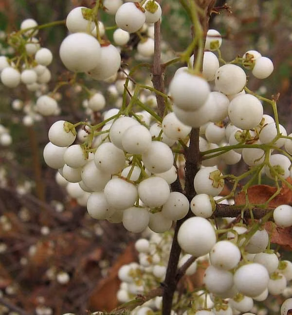 6f5d9844126ba03f0a82bffd42c51836