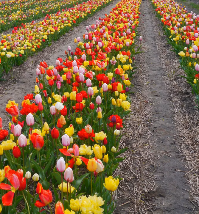 6f5f8c0cb719e98c2fc202b627abc6af