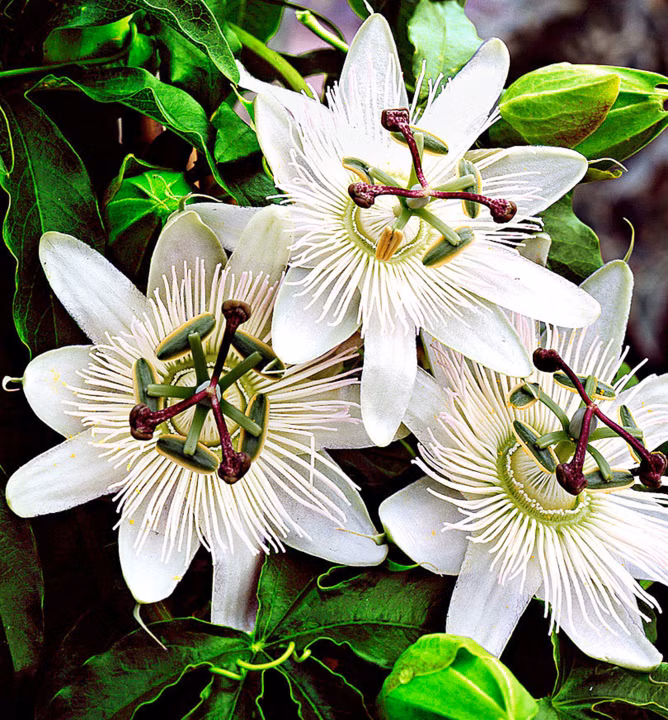 6f606f0c310bc189cdf5c538ab08c335