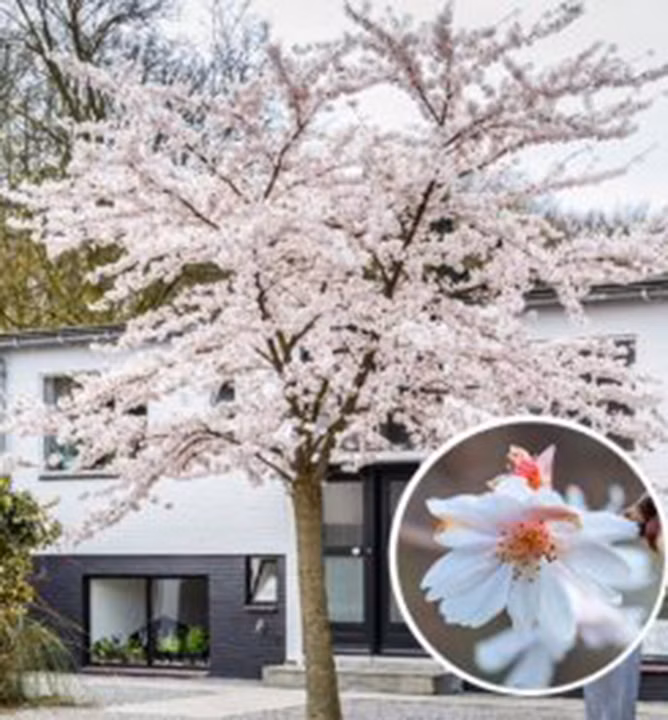 6f6856666f3f5b6cf1cc70d7cc89d62f