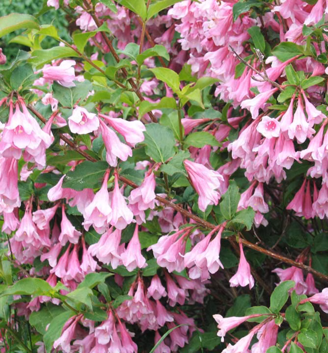 6f73f318a92676b9d24f67fbf307099e