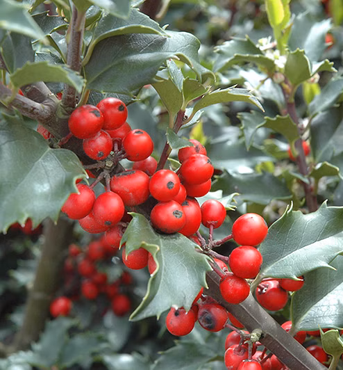 6f7bebb300b704d1a8e82fccff85b66c