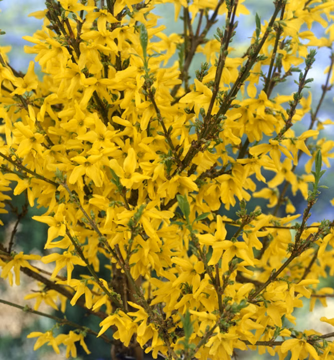 6fa990a933bb205e3050ca042f11c539