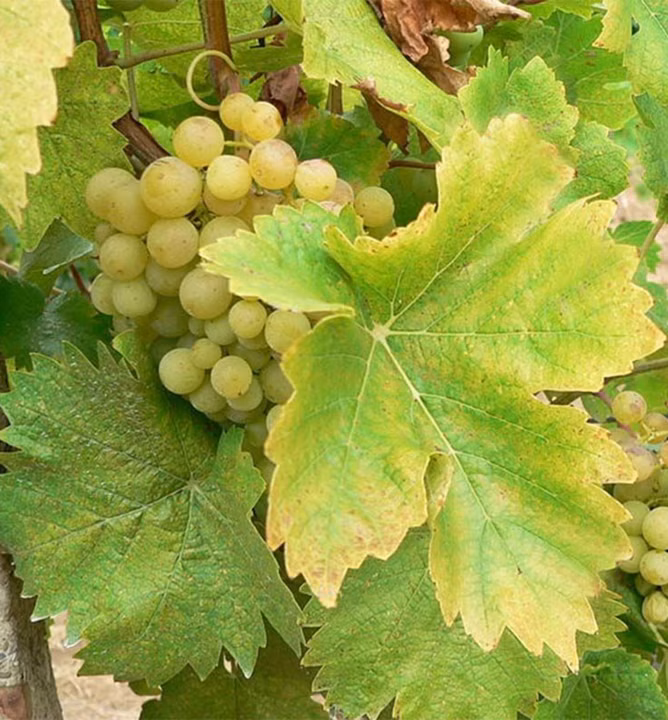 6fd1f5ac120029fb6b3131154441ca23