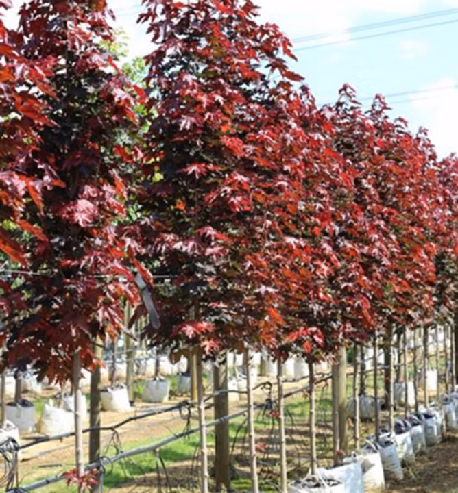 700a32257f7edfad605dc0d00552d1de