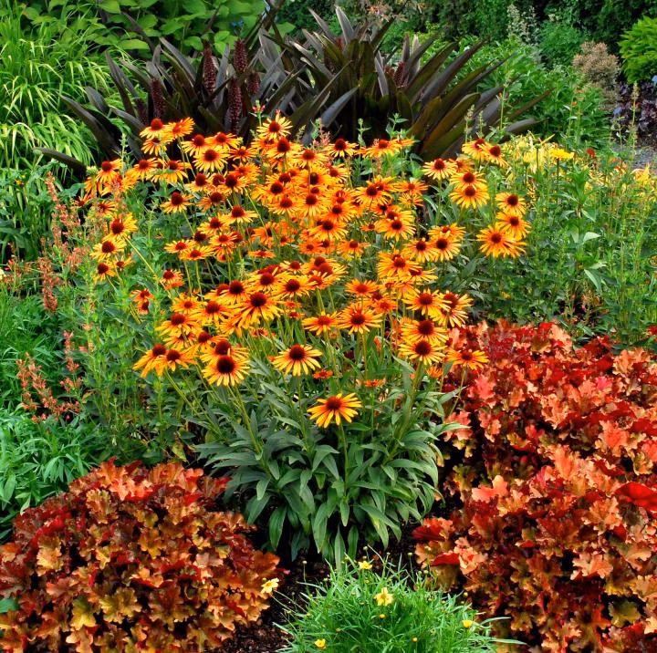 700cbbbc9d2599da5d0f4dd76ef01db5