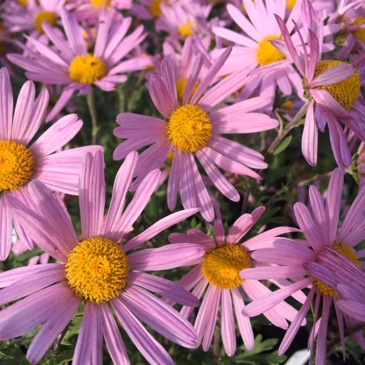 702fa61e28f76ebf5a2e67791f78eedb