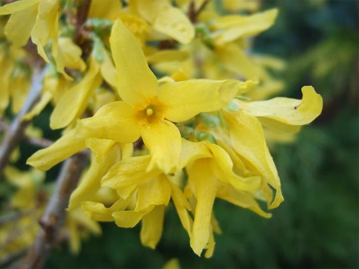 705d49e6b38111cff20ee56635e672aa