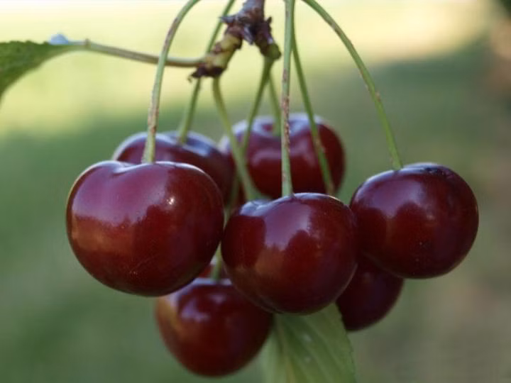 70798782d5a90d247a07b5a7687aa2c4