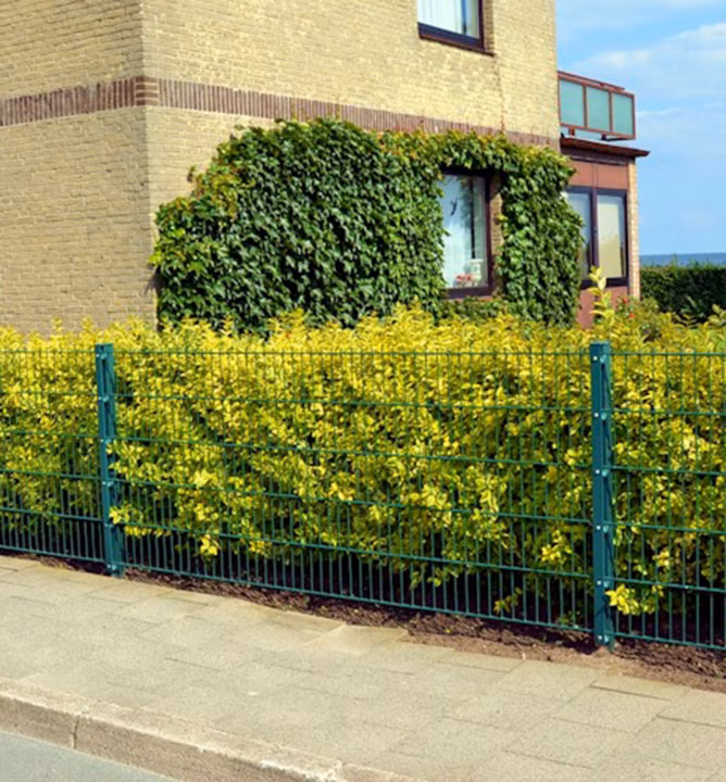 70b5ebb7f1cfb20d36111dfefa8efccf