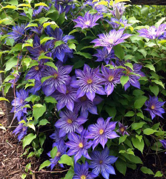 70b7c690a7ec1f80f36455392a3e8f6b