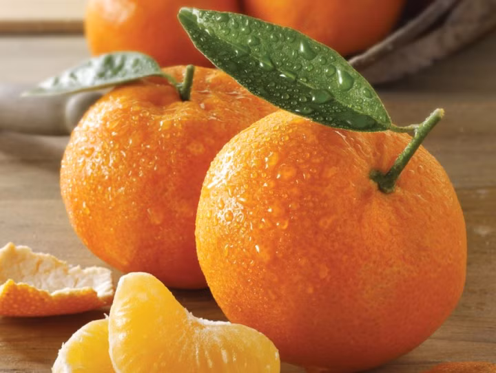 710636e4e44347cf48531cb6e38eeb49