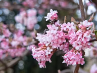 7125d5702b9cec8d1786f0a9d5a4ae5e