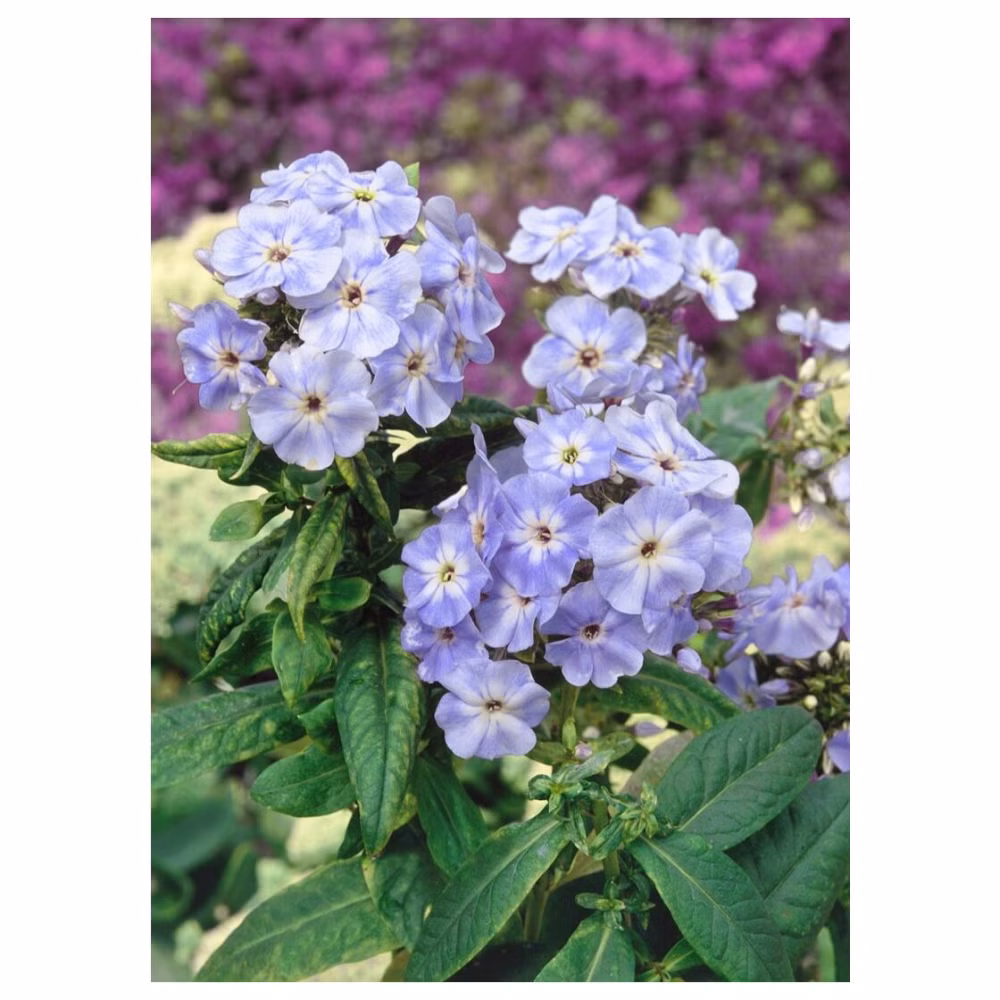 7140f4c6515161770b0780db805137e1