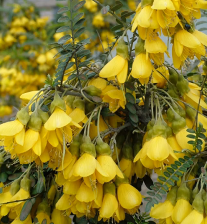 7182eaae3ef2b1750106c4d6aee04125