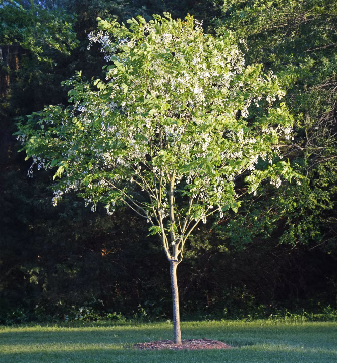 71ad7142dd58fb938cbafa559a320d73