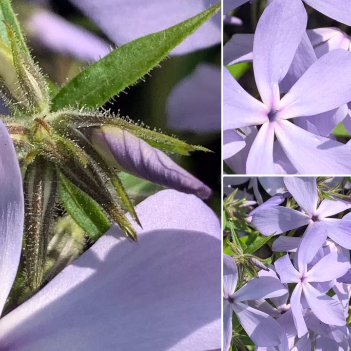 71cccf8b4fdf4b369369bc0af258d8db