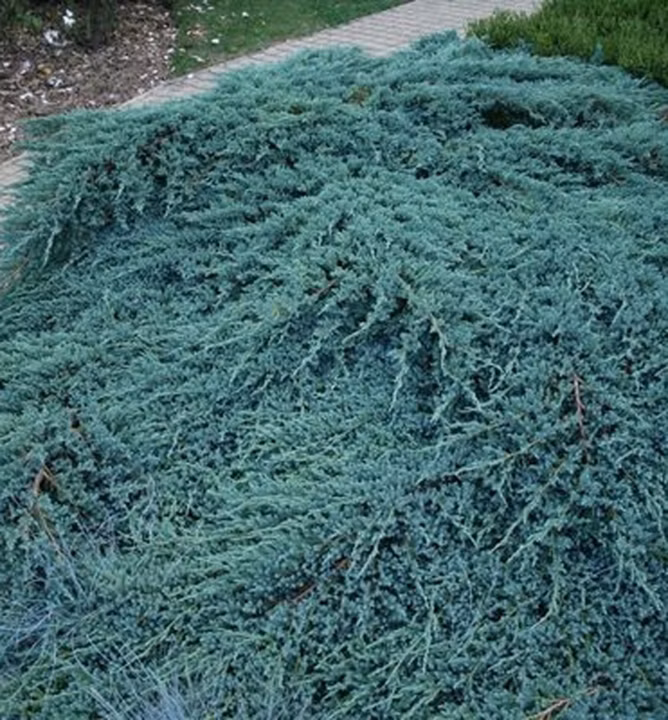 71dd1f90ca72e73a66b5e0e1915d47dc