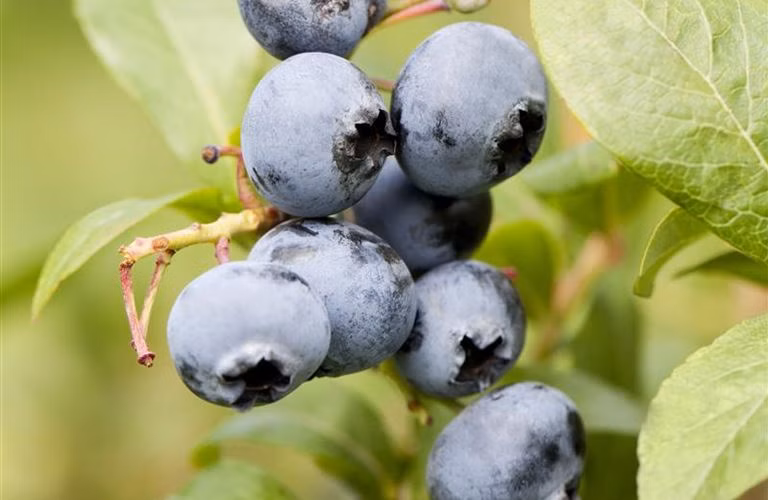 71eb013c3b3ebcab2ceaec3f4e3a3bce