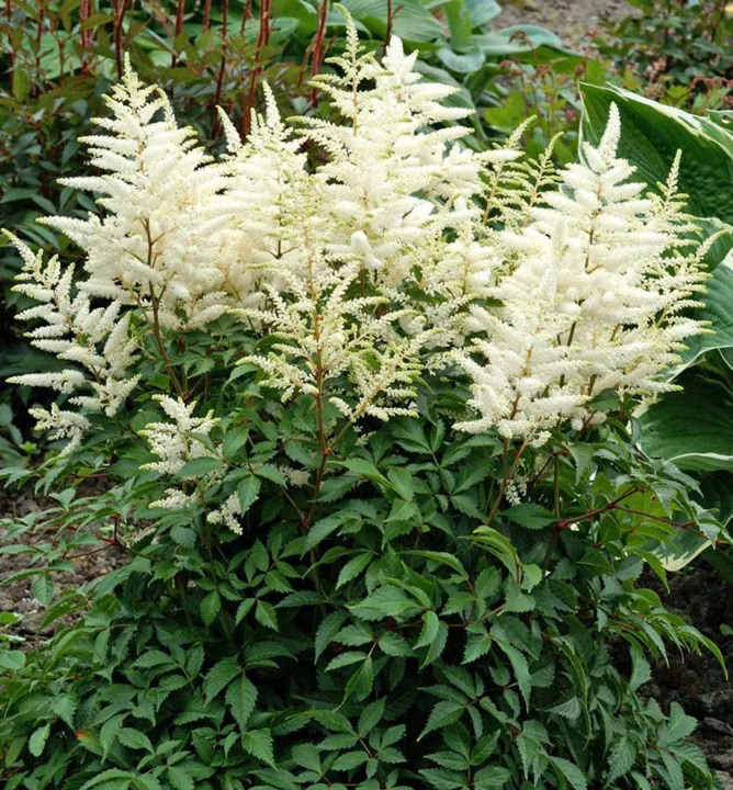 71f9f51007e7cbc46d8a6fe96d298bc7