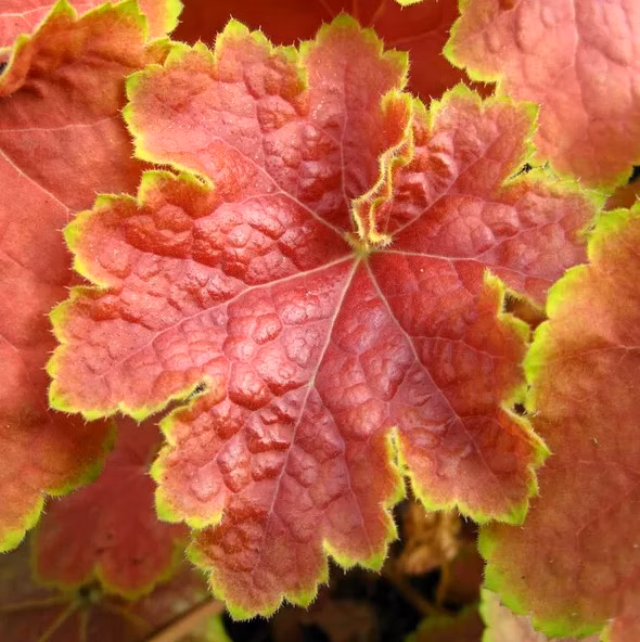 7213f61a7b23dca3288834392457d5d9