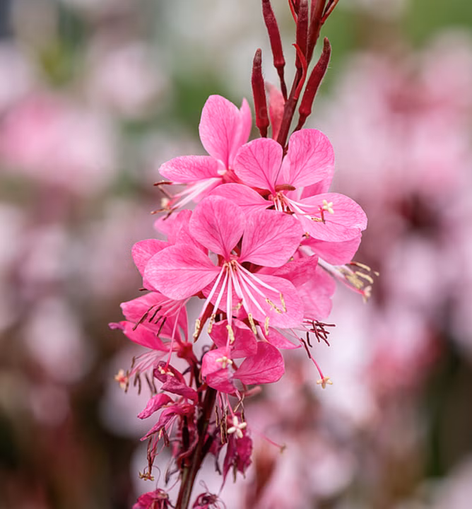 7221af795490ba2694457cb741e0cfbd