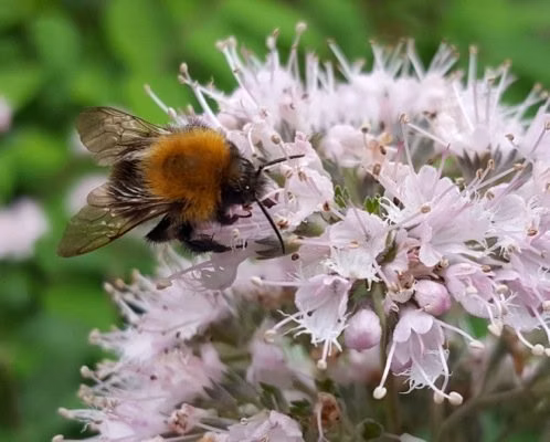 724795708c7d19ba634c45ff3f1d7231