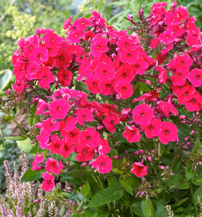 724b551b2d282b750c43101a5feff5ce