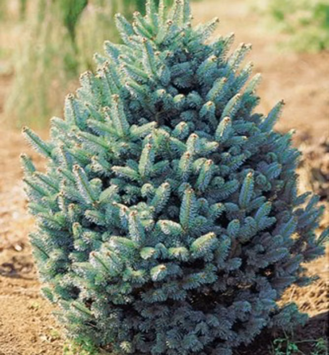 7271b81280e2e21b72d11fa2c2672e3f