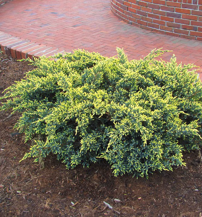 72a0df58659b3f655c748b383619fde4