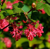 72bd36a2ef637d6299d25c60eaf01382