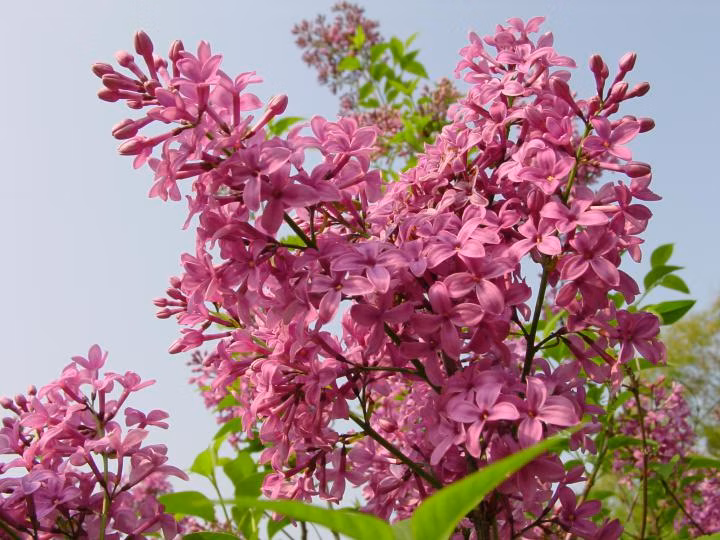 72d045f40c9985d99fb3431b309e282b