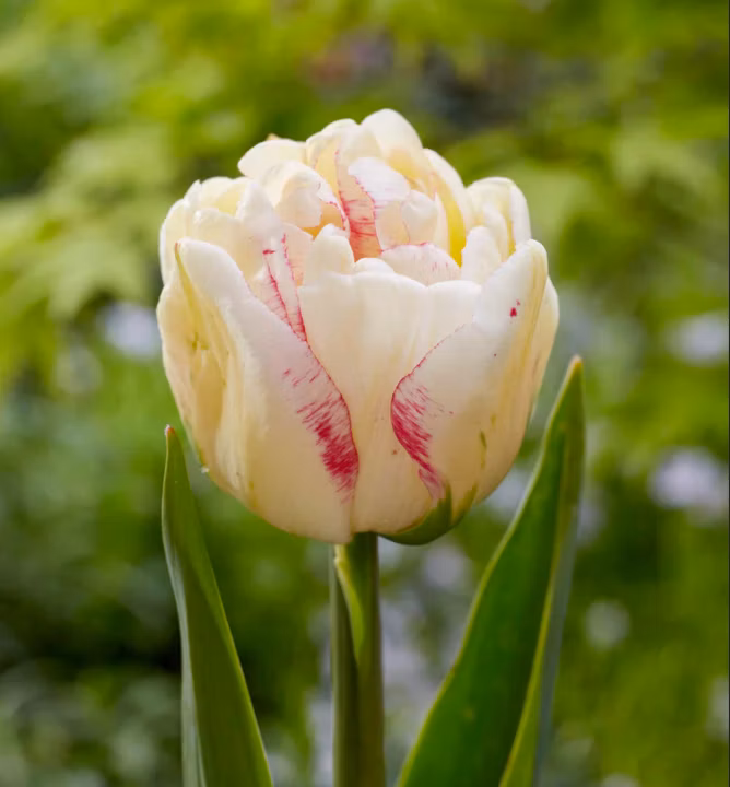 72edf5c360a653c8f600dd56b0c71781