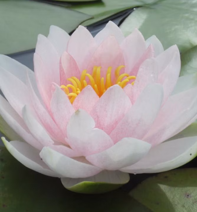 72f119b2577602a009b6f7459dcc2ac2