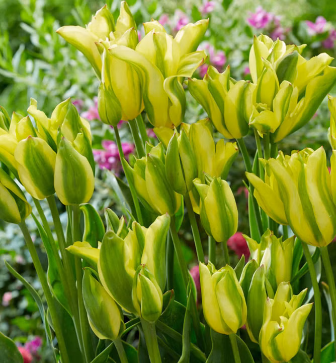 72f1c2e74dfec7c6253492029a4d10f4