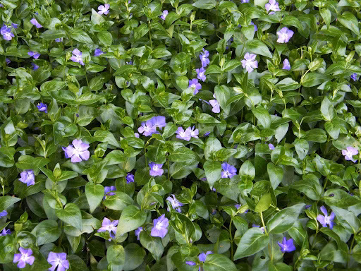 734a58e66fc24940c057e107317b7302