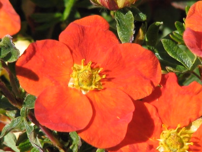 73505dc5016ac7b8223950be5c3ee48a