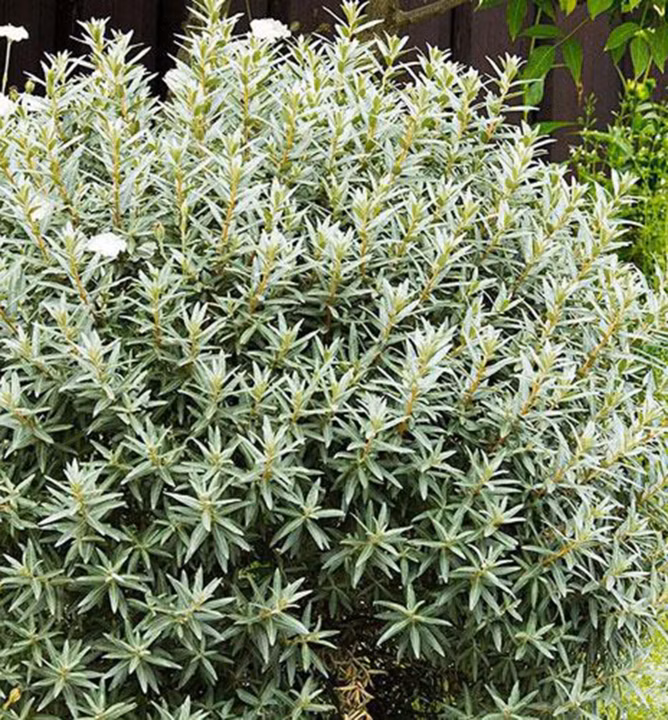 73534fc69a721b9f7d49ee8cf66aef00