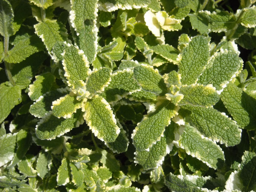 7363c20e9f872782764577931b8bcb17