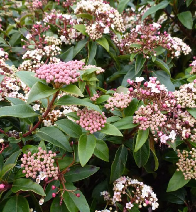 738a2a19e2dcec84550f4e0267942f39